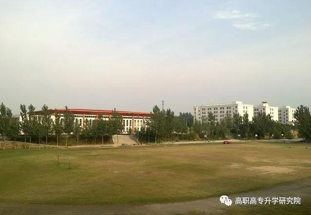 郑州澍青医学高等专科学校