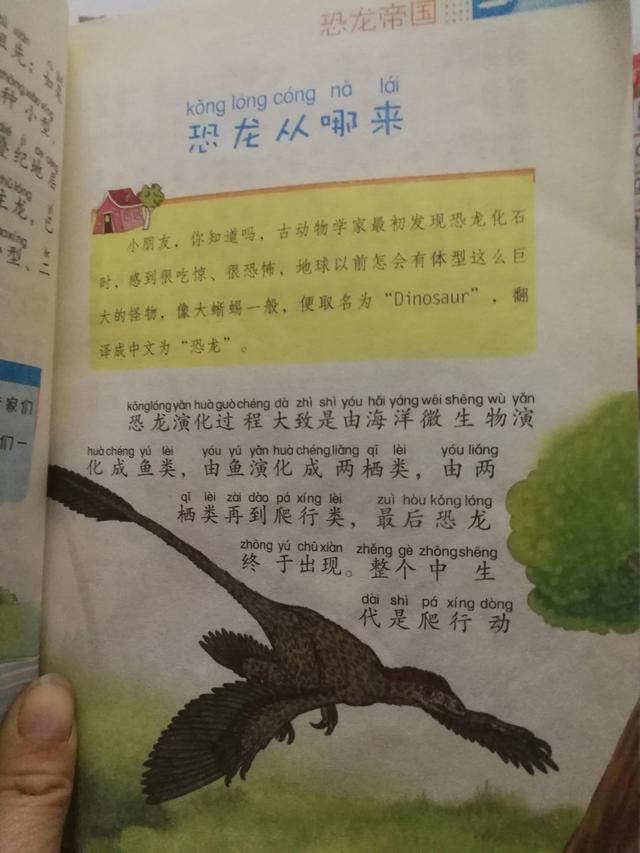 听小儿分享不可小瞧的石头书化石