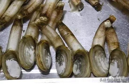 海鲜种类