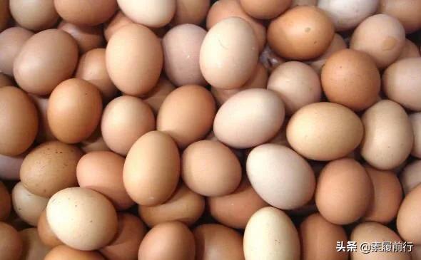 11月13日鸡蛋价格