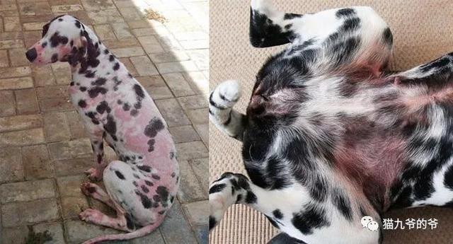 外阴表皮角化不全什么意思