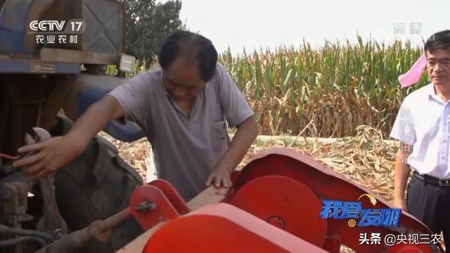 秸秆破碎机效果