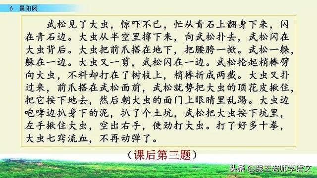 梢棒是什么意思