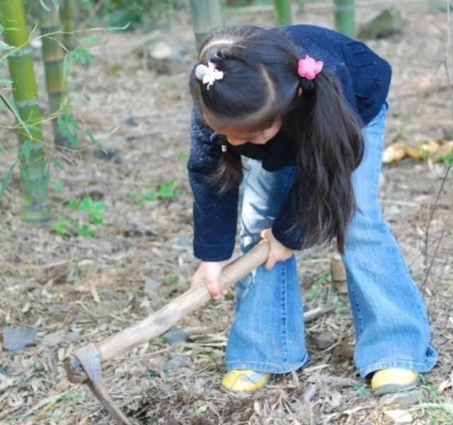 日本女孩挖筍時離奇失蹤 警犬搜索時詭異行爲 引發無數猜想 Zh中文網