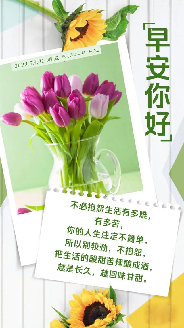 周五早安心语图片日期阳光激励：最好的保鲜是不断进步，成为更好的人