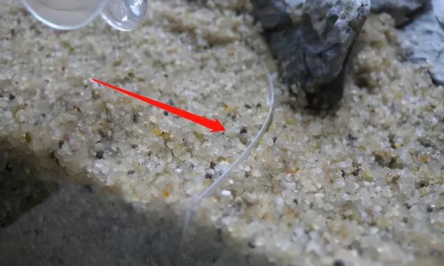 45cm制砂机