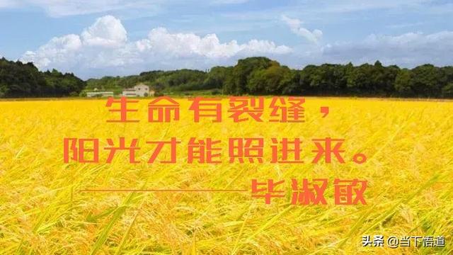 孤芳自赏是什么意思