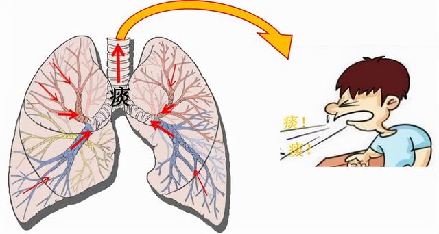 儿科临床问题：急性咳嗽患儿是否需要使用止咳祛痰药治疗？