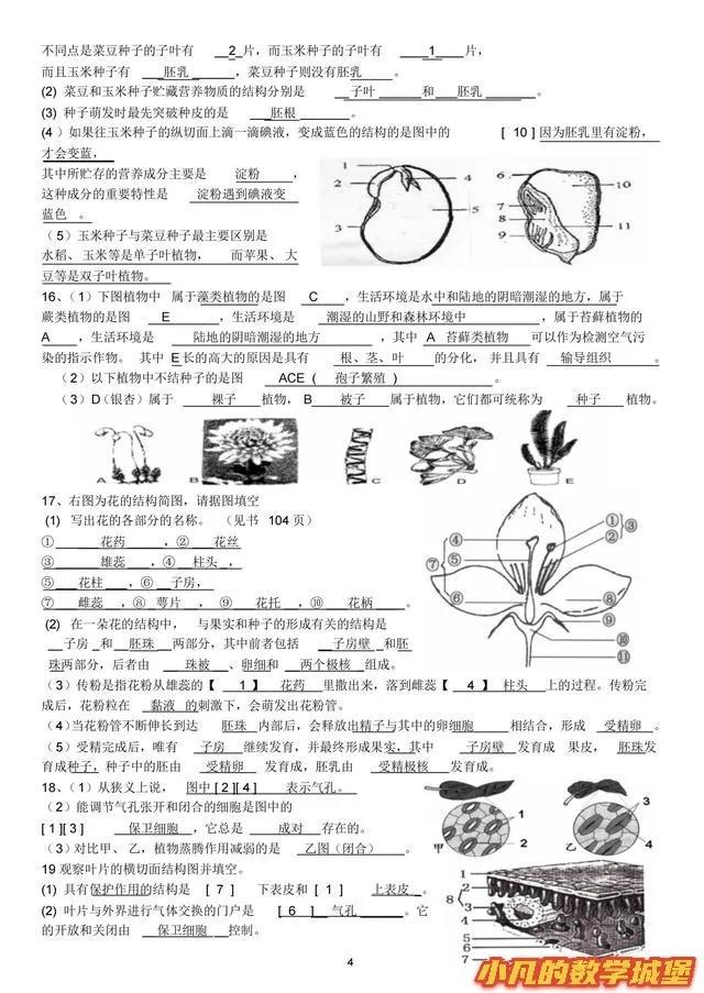 新初一历史地理生物考点归纳20几页内容史地生知识点全覆盖拿满分