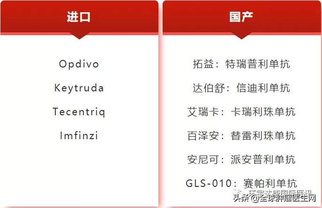 干貨｜國內上市的十大PD-1/L1用藥信息大盤點（2021更新）