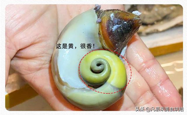 海螺怎么吃？