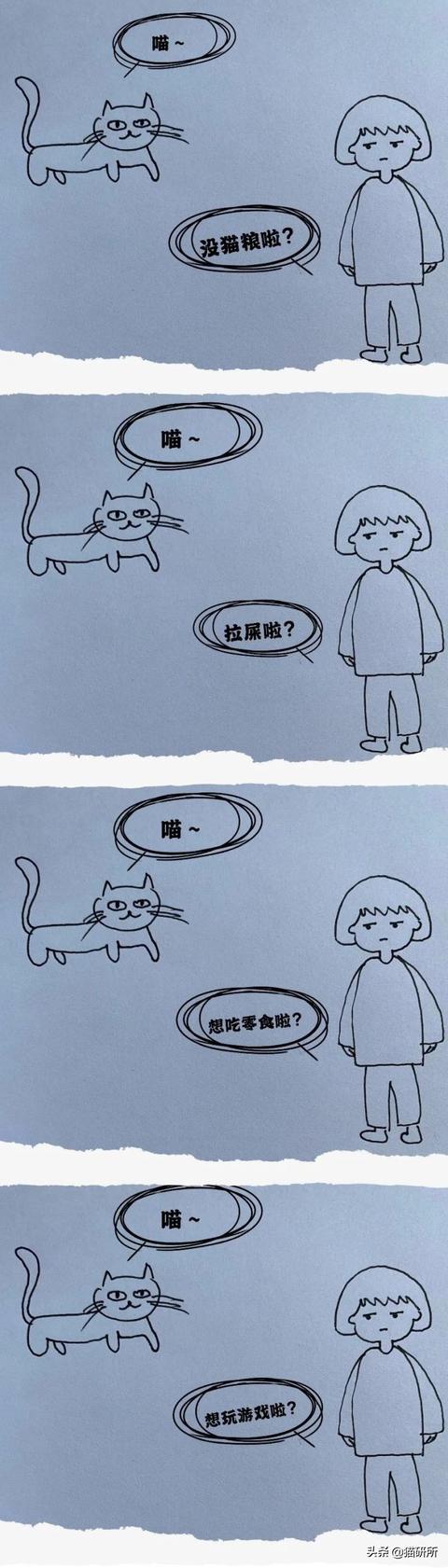 猫怎么叫