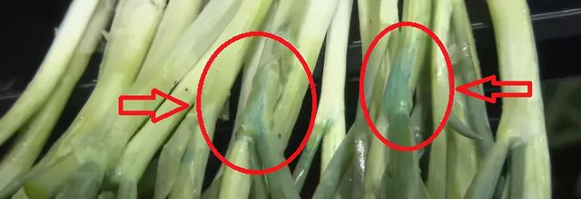 全面下架！上海菜场里的蓝色小葱，喷洒的可能是这种溶液！有害吗？专家这样说1
