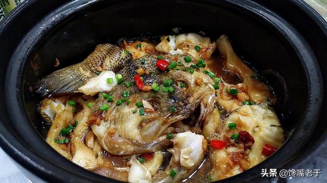 黑瓜子鱼属于什么鱼,黑瓜子鱼学名叫什么