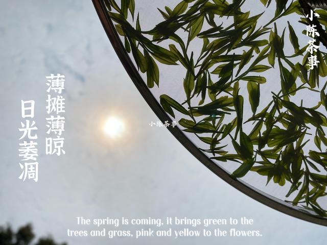 立夏洗砂机