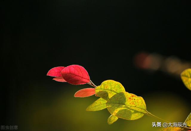 九月：打开秋天的画卷，染上时光的故事