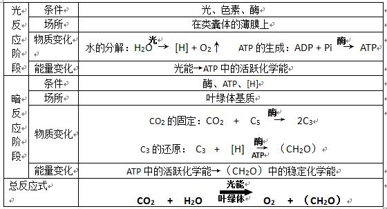 呼吸作用 呼吸作用（呼吸作用和光合作用的区别和联系） 生活