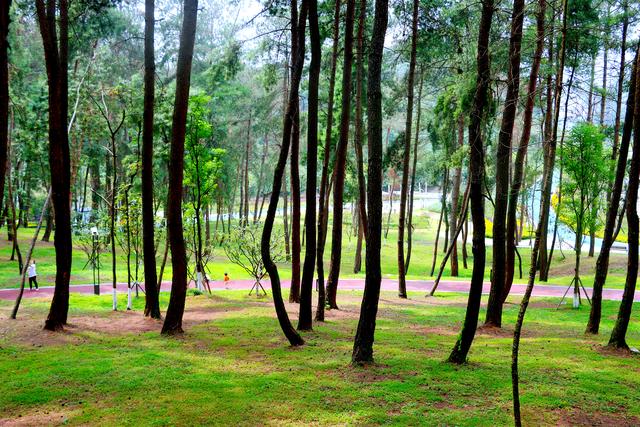 马鞍山公园贵阳周末好去处马鞍山公园人少马鞍山公园门票
