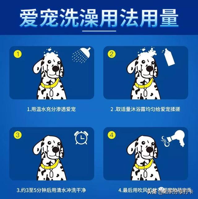 狗狗打完疫苗多久能洗澡剪毛(狗狗打完疫苗第二天洗澡了)