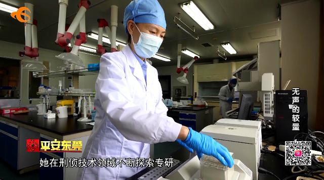 平安东莞剧情（平安东莞头条号）