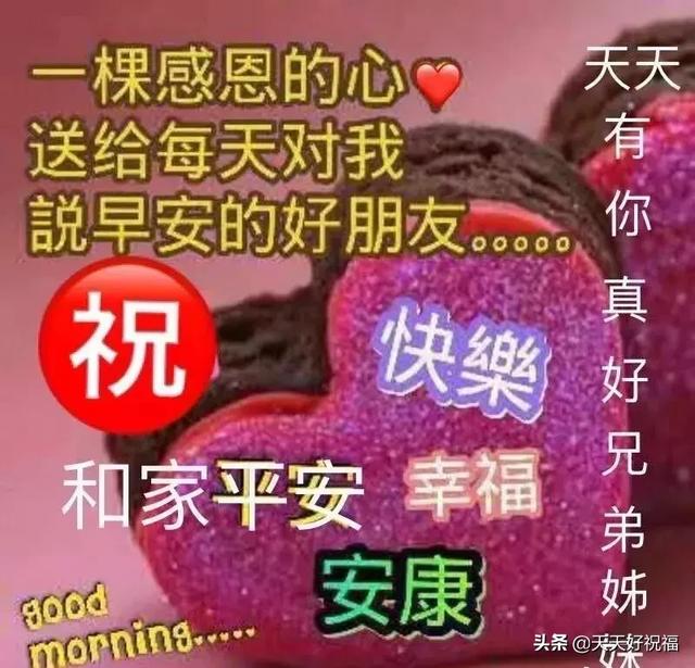 今日是指什么意思