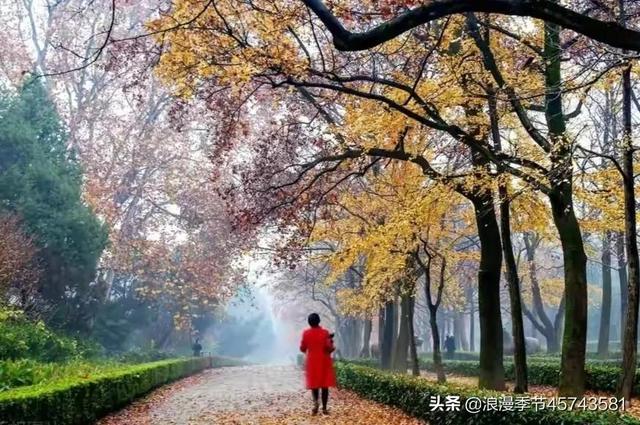 时光如昨细数，岁月深秋几度「散文」