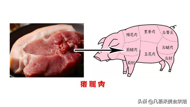 母猪肉与好肉图片对比图片