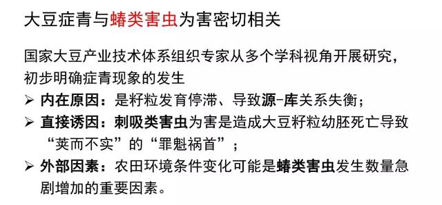 大豆症青——黄淮海夏大豆生产的“癌症”？“罪魁祸首”是它！12