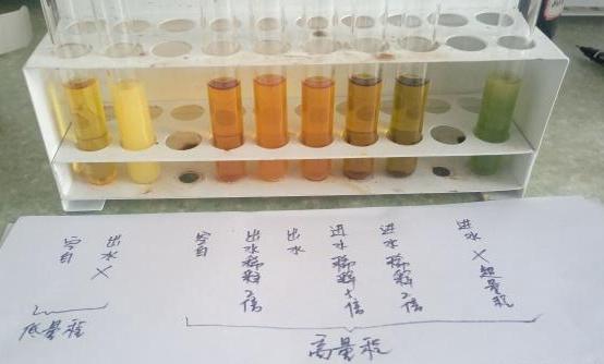 检查氯离子是什么意思