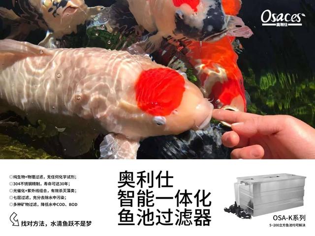 鱼池过滤机怎么用的简单介绍