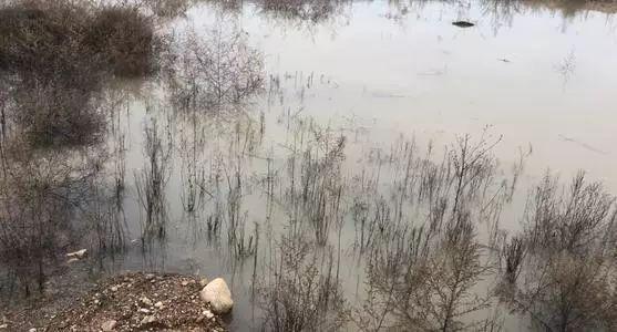 定西螺旋洗砂机的简单介绍