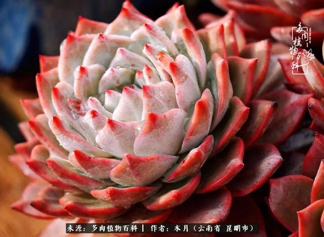 安康石英砂洗砂机厂家电话