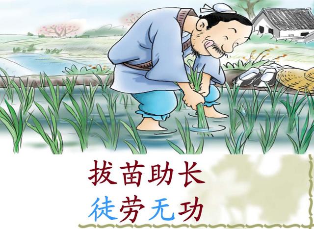 你是否在对孩子进行拔苗助长