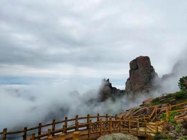 什么是教养？