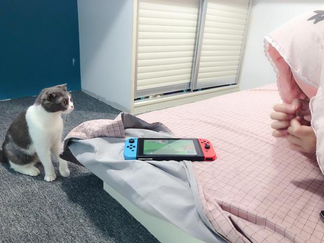 switch各个版本如何选择（关于switch不同版本的区别）(2)