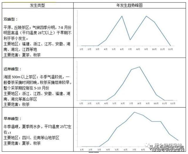 成都绿金健康栽培技术——茶小绿叶蝉的发生与防治管理3