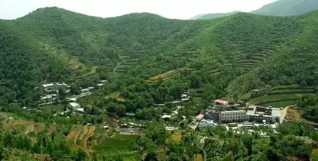 发现一个带娃露营好地方（周末溜娃哪里去）(23)