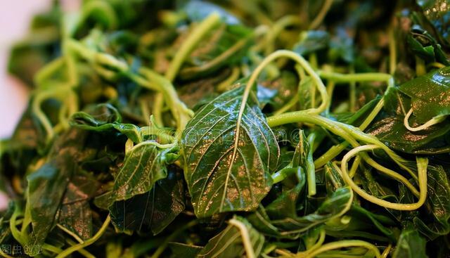 中国“钙片”文化的盛行，都怪我们的肠胃喝牛奶容易拉稀