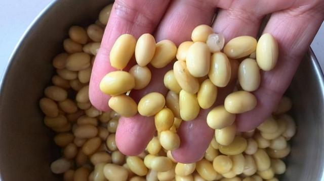 豆浆破碎机不破碎是什么原因