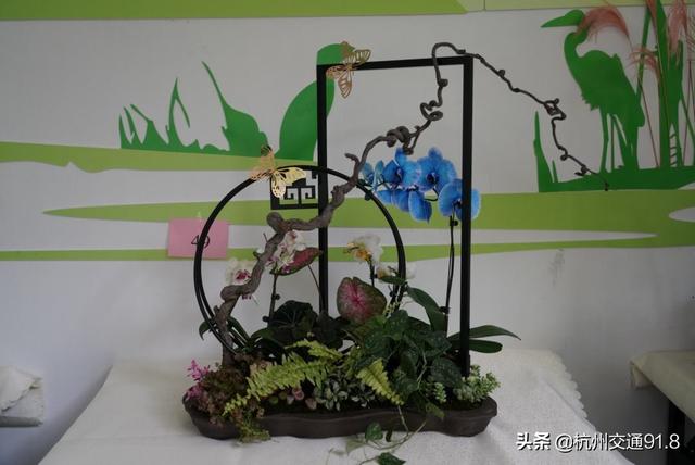 园林机械展杭州