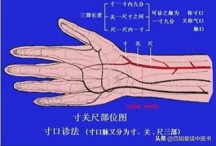 中医知识每日一读 伤寒补例：伤寒重病多是下焦伏寒