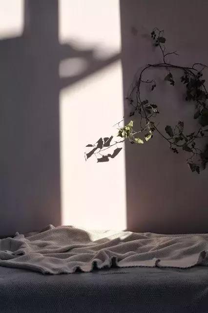 晚安句子190227：思君如满月，夜夜减清辉