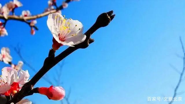 ĴաƬú | 롰ʹ ĴӰƷн