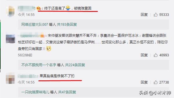 马伊琍发表离婚宣言（马伊琍发34字离婚声明）(7)