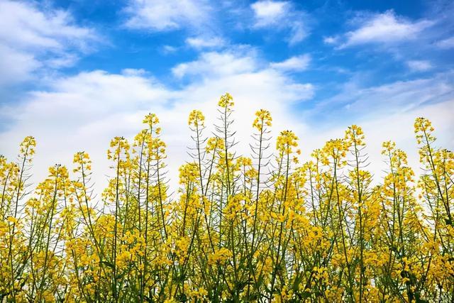 爱上阅读 是一辈子的享受