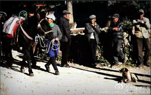 临沧轮式洗砂机报价