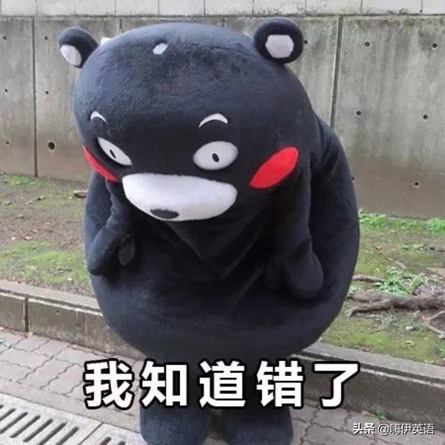 apologize是什么意思 apologize是什么意思（apologize是什么意思英语） 生活