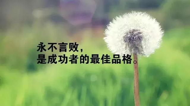 早安阳光心语图片190122：就算绝望也要振作，无论多糟糕也要爱自己