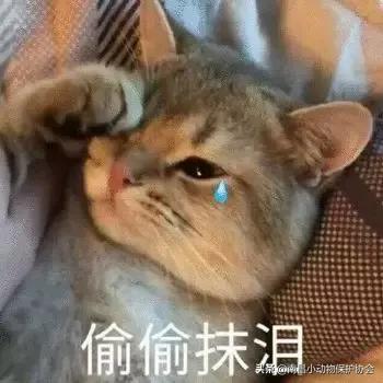 鸡皮肤是不是用硫磺皂