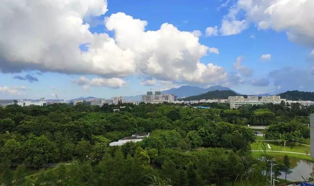 深圳东部艺术地标「坪山美术馆」来了！简直不要太好看